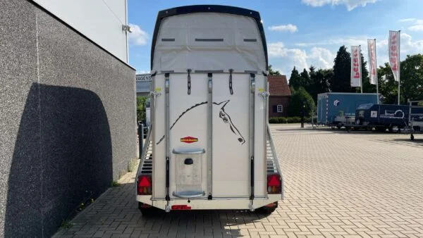Vans Champion Uno C Böckmann Pferdeanhänger kaufen