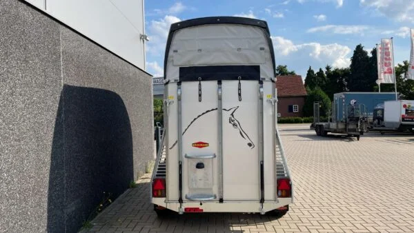 Vans Champion Uno C Böckmann Pferdeanhänger kaufen